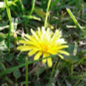 Meet your Posher, Claire